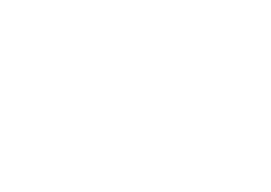 larisa_Jurcan_logo-03